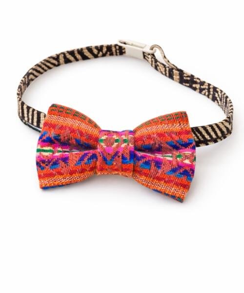 Corbatin tipico niño